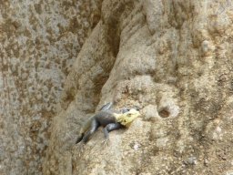 268539_10150257390494901_8348119_n